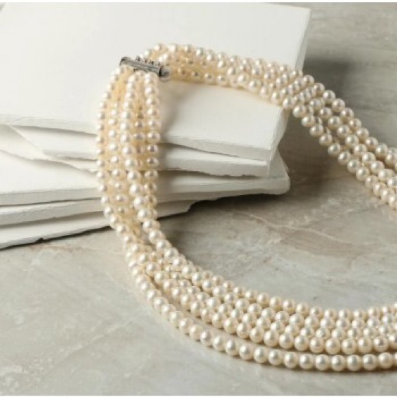 Meet your Posher, Roxanne - Picture 1 of 1